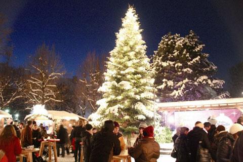 Weihnachtsdorf Altes AKH