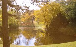 One of the miost romantic places in Vienna, Austria: the Türkenschanzpark