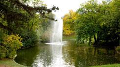 A romantic creek in the Türkenschanzpark in Vienna, Austria