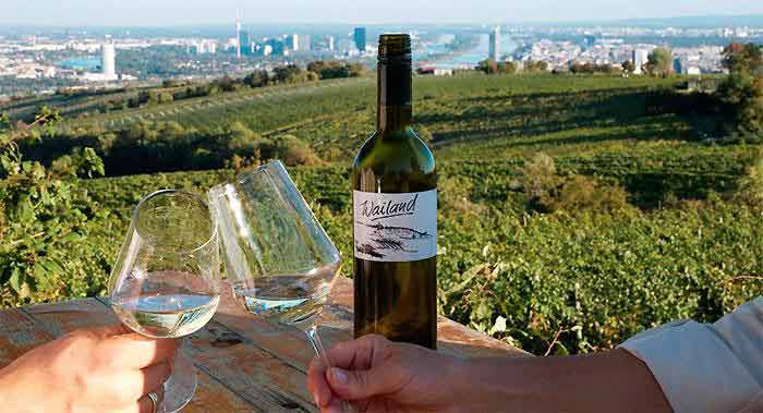 Das Weingut Wailand biete herrlichem Wein mit einem romantischen Blick über Wien